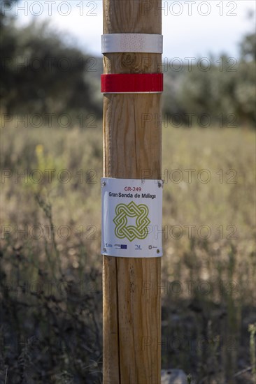 Signpost waymark for long distance footpath GR-249, Gran Senda de Malaga, Periana, Axarquia,
