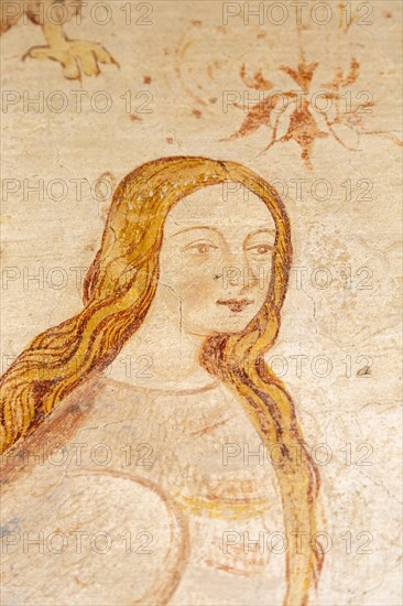 Image set of Casas Pintadas, Evora, Portugal unusual 16th-century murals paintings of creatures