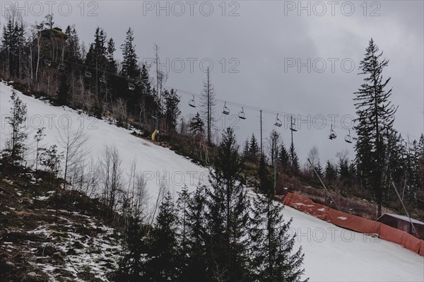 A chairlift stands out between individual trees in a thinned-out forest area, taken on a ski slope