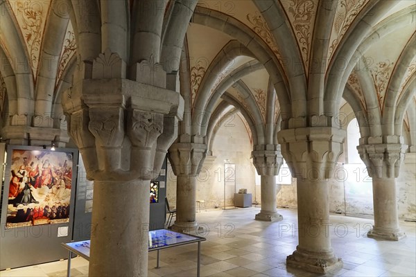 Ceiling with floral frescoes, Bebenhausen Cistercian Monastery, Tuebingen, Baden-Wuerttemberg,