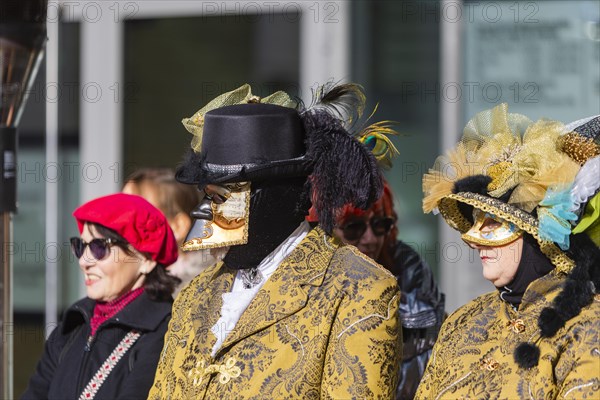 LUST & PASSION & JOY OF LIFE, for the joy of the masquerade, the Elbvenezian Carnival took place in