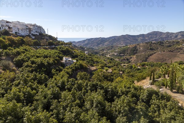 Landscape view of scenery hillsides with farms and farmhouses, Frigiliana, Axarquia, Andalusia,