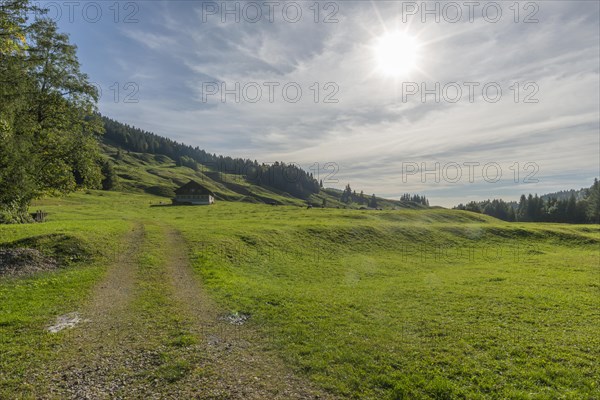 Alpine farm at Lecknersee, humpback meadow, path, municipality of Dornbirn, Bregenzerwald,