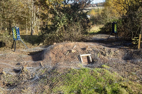 Eviction of badgers clearance of badger sett using metal fencing and one way exit gates, part of