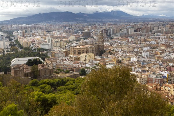 Cityscape view go high density buildings in city centre of Malaga, Spain including the cathedral