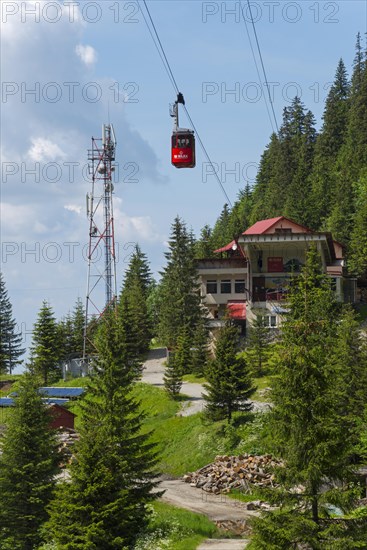 A red cable car gondola approaches a mountain station surrounded by fir trees on a sunny day, Balea