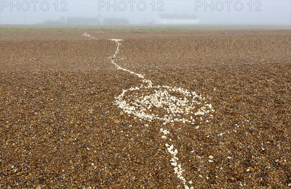 Coastal fog adds mystery to a line of white shells crossing pebble beach, Shingle Street, Suffolk,