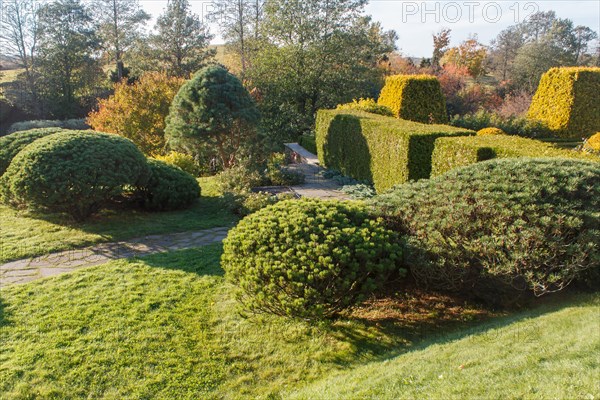 Cottage garden with green lawn, trees, hedges, trimmed bushes and large mountain pines. Modern