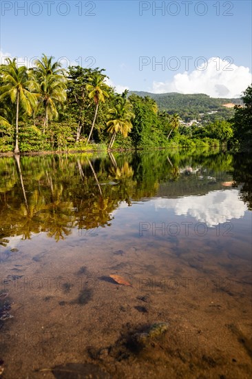 View of a river arm, a tropical mangrove landscape and the natural surroundings of Grande Anse