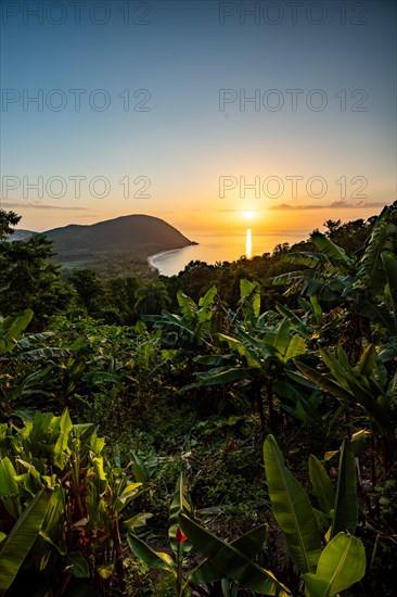 View from a mountain to a secluded bay with a sandy beach and mangrove forest. The sun rises over