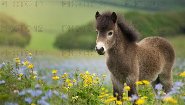 KI generated, animal, animals, mammal, mammals, biotope, habitat, one, individual animal, foraging,