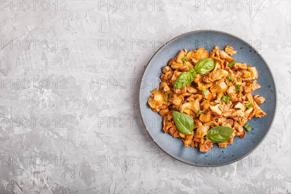 Fried chanterelle mushrooms with basil and spice herbs on gray concrete background. Top view, flat
