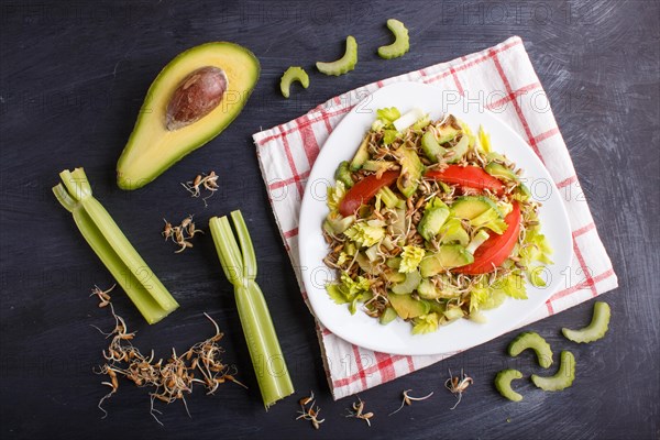 Vegetarian salad of celery, germinated rye, tomatoes and avocado on linen tablecloth, top view,