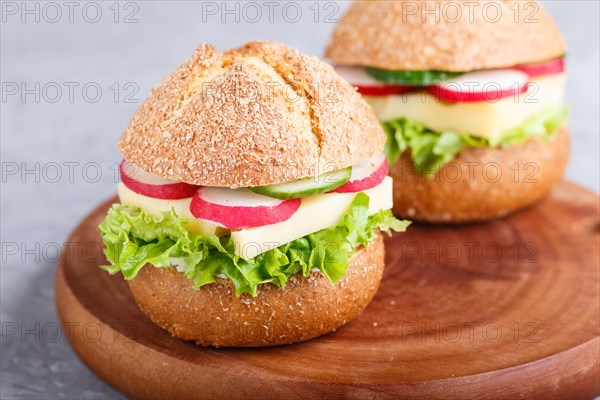 Sandwiches with cheese, radish, lettuce and cucumber on wooden board on a gray concrete background.