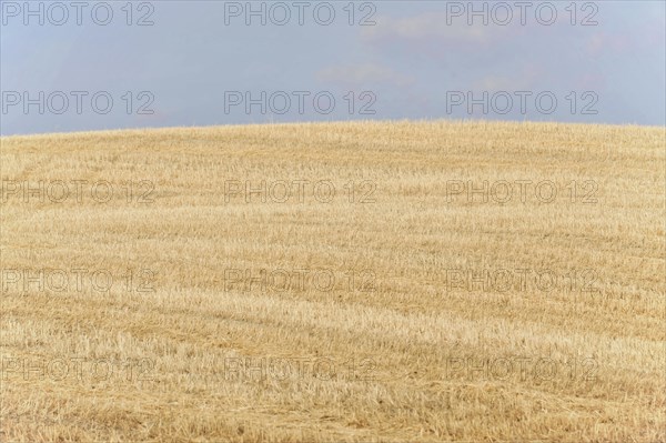 Harvested fields south of Siena, Crete Senesi, Tuscany, Italy, Europe