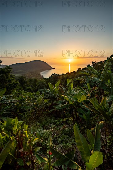View from a mountain to a secluded bay with a sandy beach and mangrove forest. The sun rises over