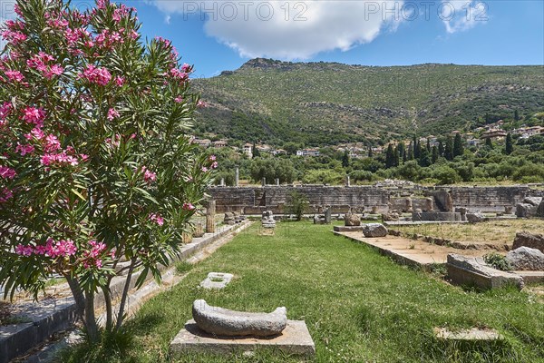View of ancient ruins with blooming oleander and a mountainous landscape in the background,