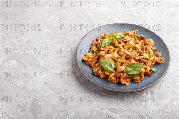 Fried chanterelle mushrooms with basil and spice herbs on gray concrete background. Side view, copy