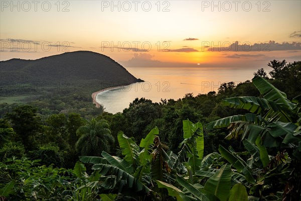 View from a mountain to a secluded bay with a sandy beach and mangrove forest. The sun rises over