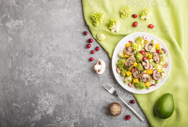 Vegetarian salad from romanesco cabbage, champignons, cranberry, avocado and pumpkin on a gray