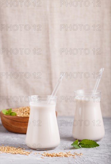 Organic non dairy oats milk in glass and wooden plate with oats seeds on a gray concrete background