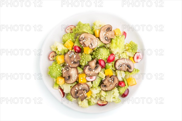 Vegetarian salad from romanesco cabbage, champignons, cranberry, avocado and pumpkin isolated on a