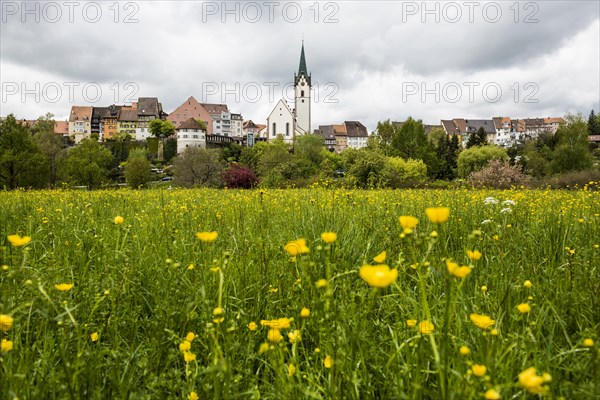 Historic old town, Engen, Hegau, Constance district, Lake Constance, Baden-Wuerttemberg, Germany,