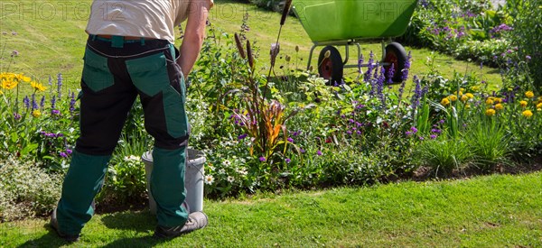 Landscape gardener gardening in the flower bed