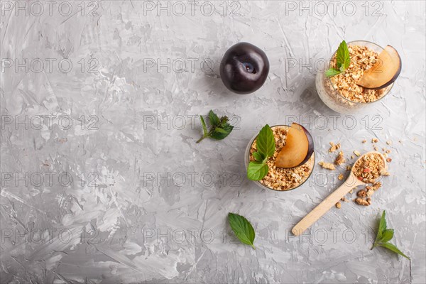 Yoghurt with plum, chia seeds and granola in a glass and wooden spoon on gray concrete background.