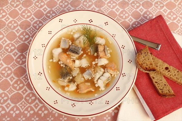 Swabian cuisine, Lake Constance fish pot, fish soup, healthy eating, broth, fillet of pike, char,