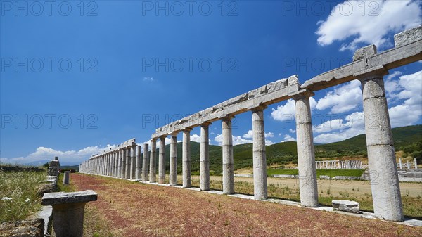 Row of columns along a paved path in an ancient archaeological site, Ancient Stadium,