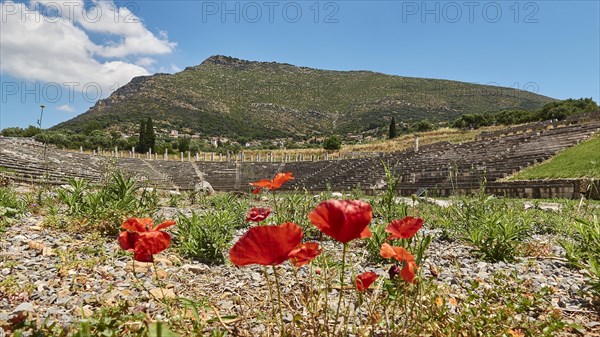 Bright red poppies in the foreground of an ancient amphitheatre with mountain backdrop, stadium,