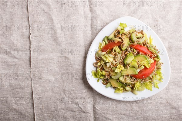 Vegetarian salad of celery, germinated rye, tomatoes and avocado on linen tablecloth, top view,