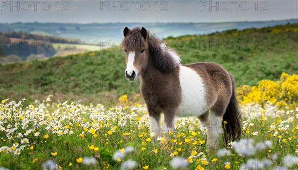 KI generated, animal, animals, mammal, mammals, biotope, habitat, one, individual animal, foraging,