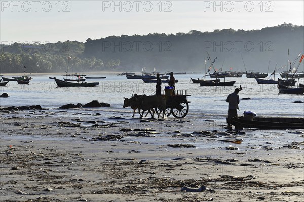 Ngapali Beach, Thandwe, Burma, Burma, Myanmar, Asia