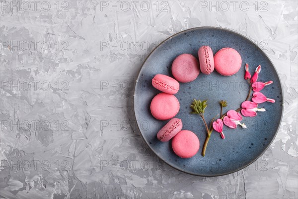 Purple and pink macaron or macaroon cakes with bleeding heart flowers on blue ceramic plate on a
