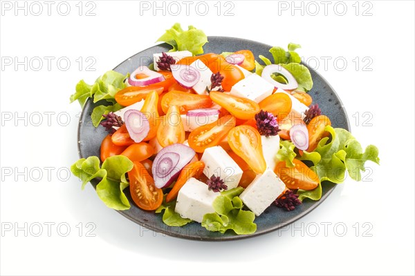 Vegetarian salad with fresh grape tomatoes, feta cheese, lettuce and onion on blue ceramic plate