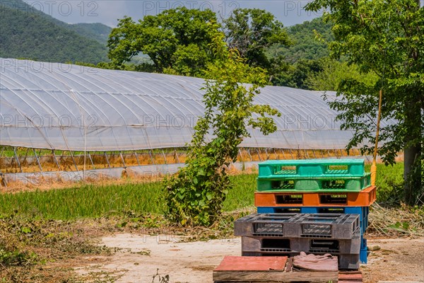 Plastic loading pallets stacked on concrete walkway beside greenhouse in mountainous countryside in