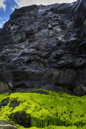 Rocky beach landscape with green algae, rocks, sea, Atlantic coast, rocky coast, rock formation,