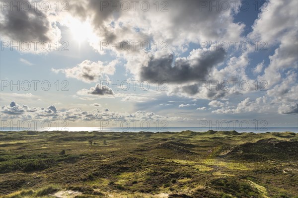 View over dune landscape with loose clouds (Cumulus mediocris) onto the smooth, calm North Sea,