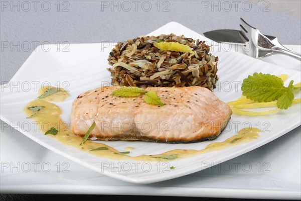Southern German cuisine, fillet of Dreisam salmon with wild rice and lemon sauce, salmon fillet,