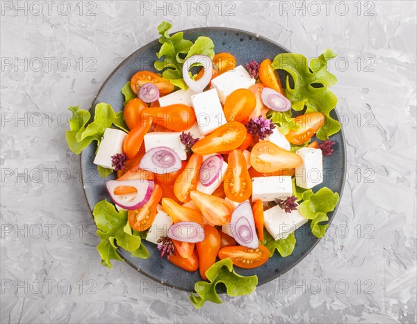 Vegetarian salad with fresh grape tomatoes, feta cheese, lettuce and onion on blue ceramic plate on