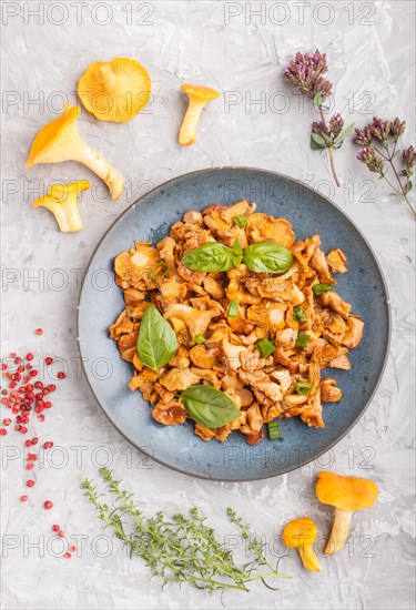 Fried chanterelle mushrooms with basil and spice herbs on gray concrete background. Top view, flat