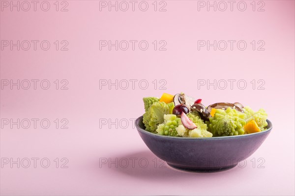 Vegetarian salad from romanesco cabbage, champignons, cranberry, avocado and pumpkin on a pastel