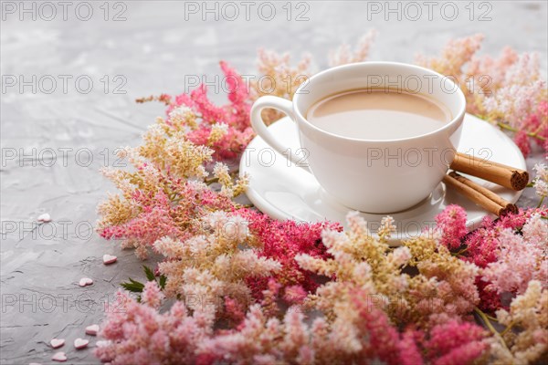Pink and red astilbe flowers and a cup of coffee on a gray concrete background. Morninig, spring,