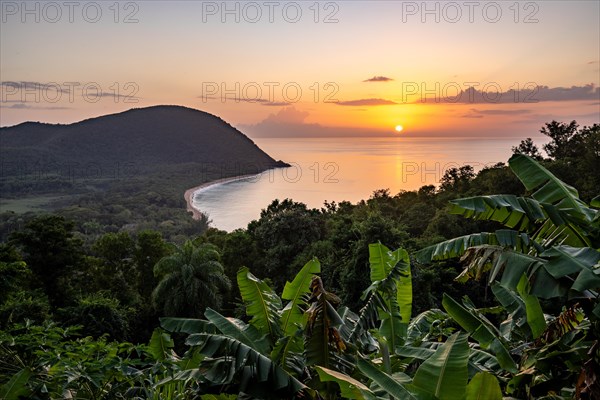 View from a mountain to a secluded bay with a sandy beach and mangrove forest. The sun rises over