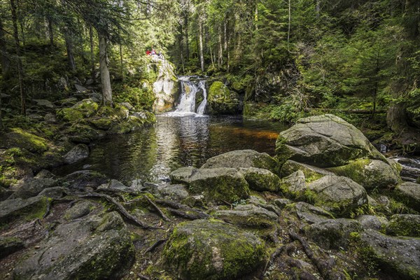 Kroi-Woog-Gumpen, with moss, rocks and forest, Hotzenwald, Black Forest, Baden-Wuerttemberg,