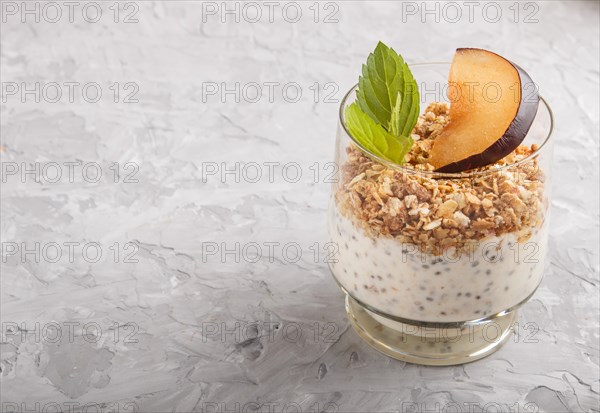 Yoghurt with plum, chia seeds and granola in a glass on gray concrete background. side view, close