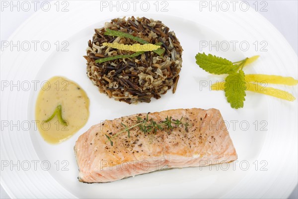 Southern German cuisine, fillet of Dreisam salmon with wild rice and lemon sauce, salmon fillet,