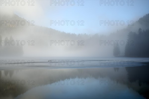Spitzingsee in winter, ice, Mangfall mountains, Bavarian Prealps, Upper Bavaria, Bavaria, Germany,
